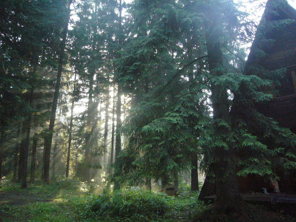 Chata Pri Potoku Zuberec Bagian luar foto